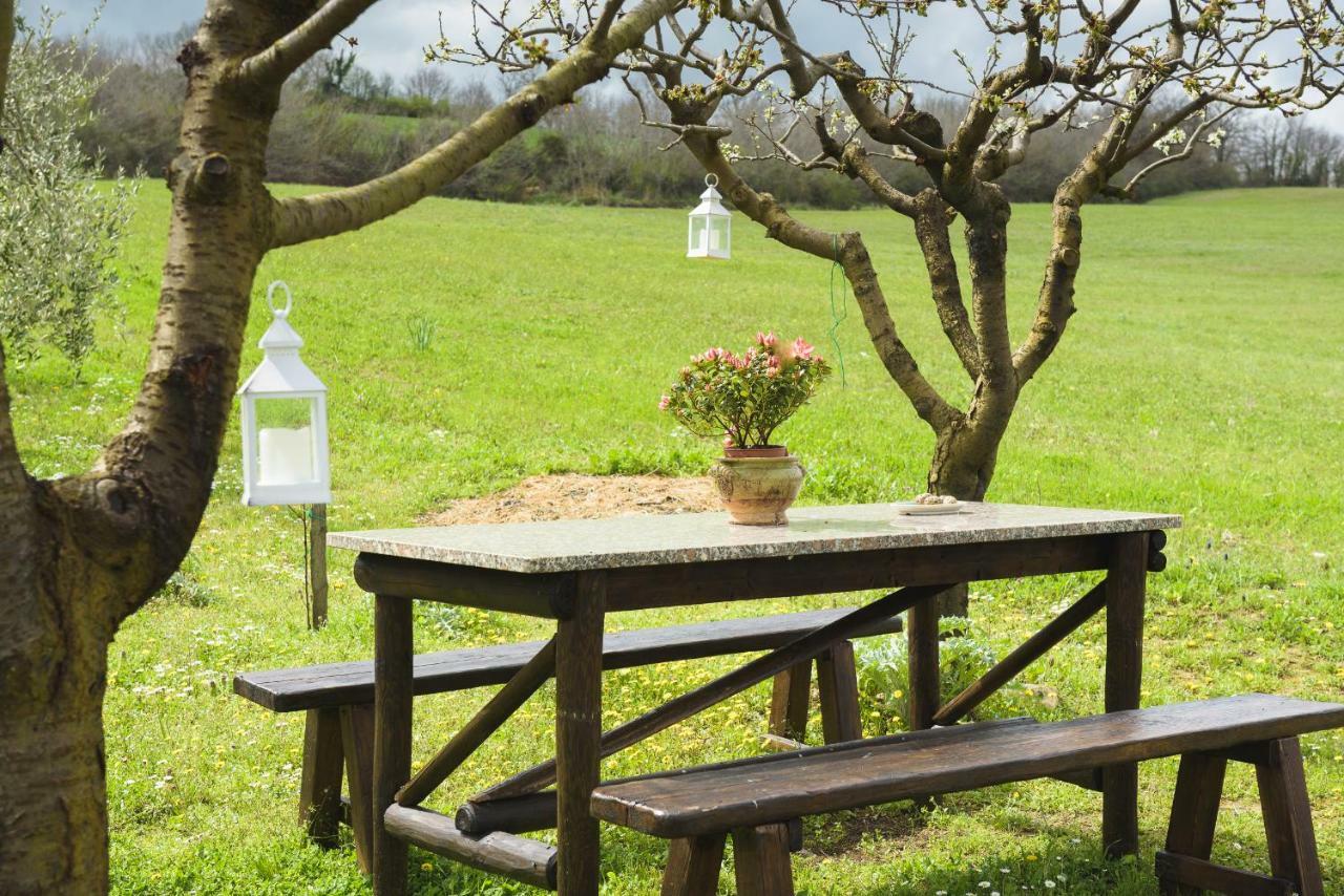 Agriturismo Campo Alla Piana Villa Monticchiello Luaran gambar