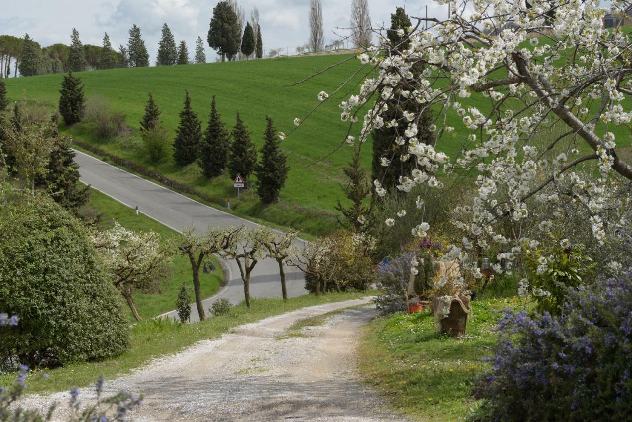 Agriturismo Campo Alla Piana Villa Monticchiello Luaran gambar