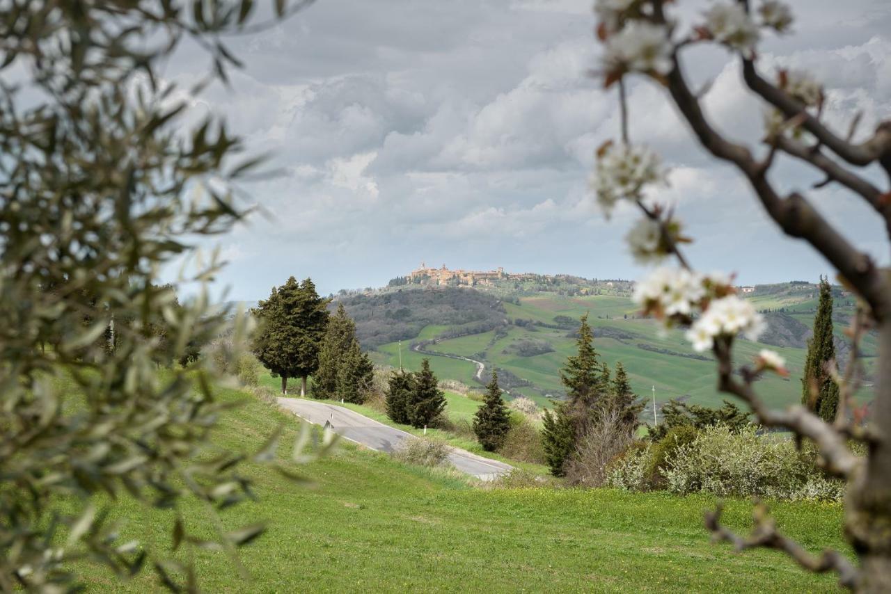 Agriturismo Campo Alla Piana Villa Monticchiello Luaran gambar
